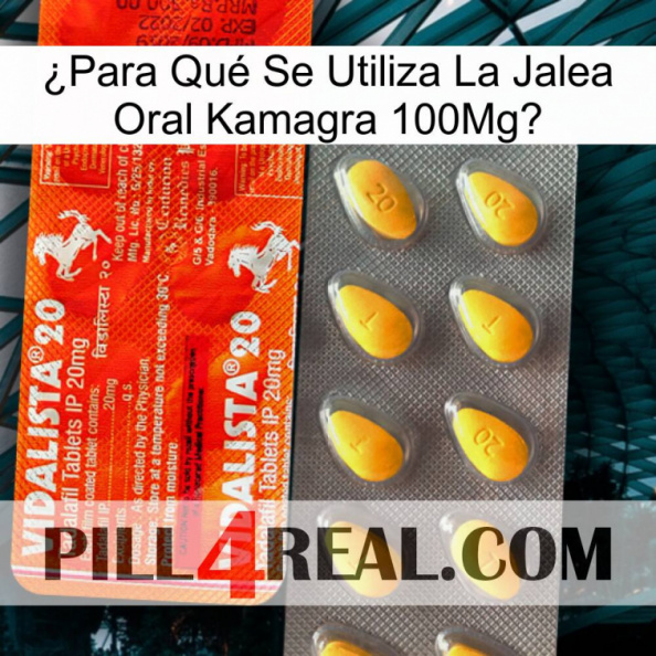 ¿Para Qué Se Utiliza La Jalea Oral Kamagra 100Mg new01.jpg